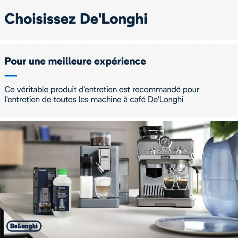 De'Longhi Detartrant EcoDecalk DLSC500, Écologique, 500mL pour Machines a Café, Marron